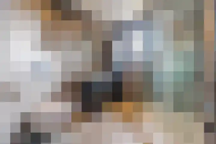 Dorestede 42 Zegge thumbnail 52