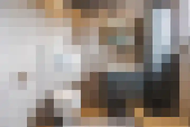 Dorestede 42 Zegge thumbnail 53