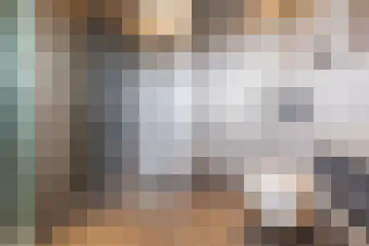 Dorestede 42 Zegge thumbnail 54