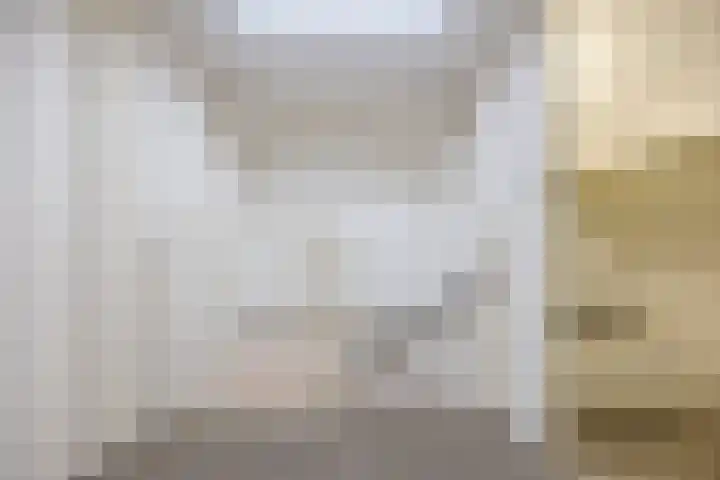 Dorestede 42 Zegge thumbnail 56