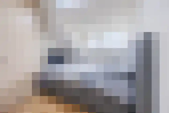 Dorestede 42 Zegge thumbnail 58
