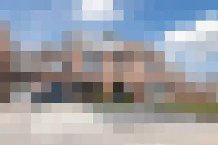 Dorestede 42 Zegge thumbnail 6