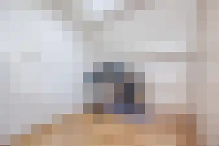 Dorestede 42 Zegge thumbnail 60