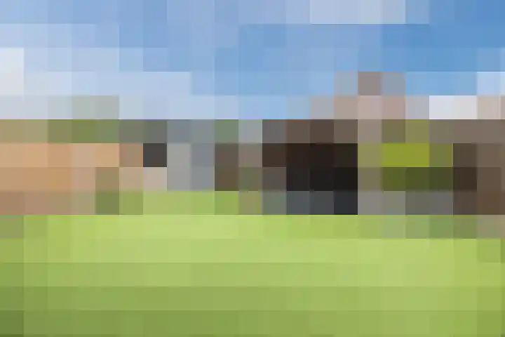 Dorestede 42 Zegge thumbnail 63