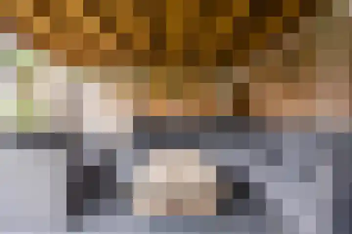 Dorestede 42 Zegge thumbnail 65