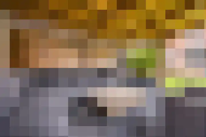 Dorestede 42 Zegge thumbnail 66