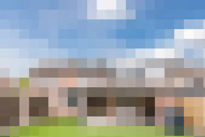Dorestede 42 Zegge thumbnail 67