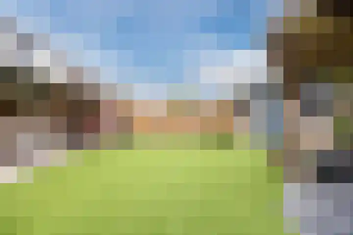 Dorestede 42 Zegge thumbnail 68
