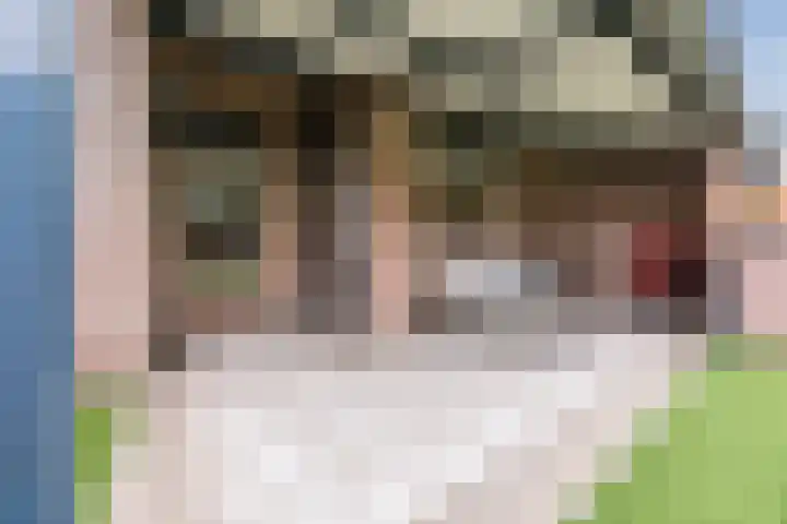 Dorestede 42 Zegge thumbnail 69