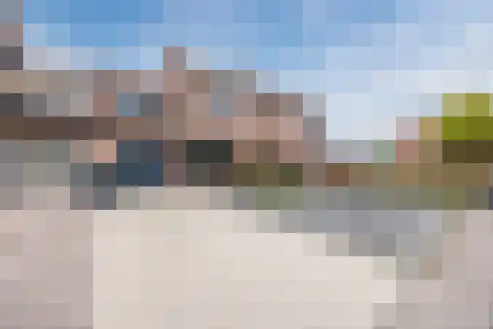Dorestede 42 Zegge thumbnail 7