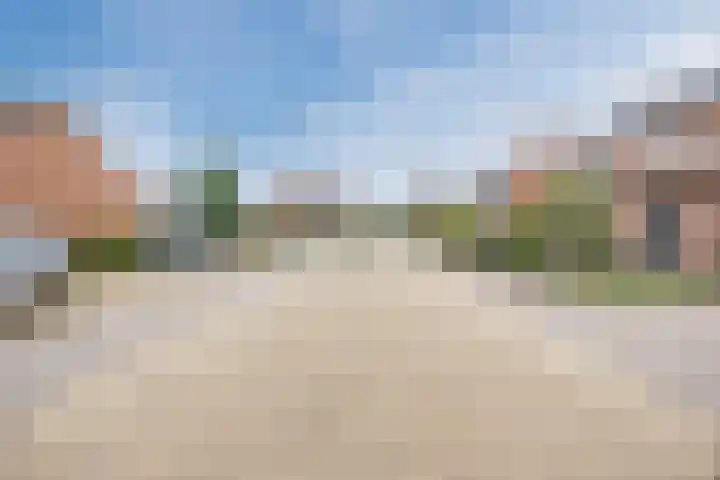 Dorestede 42 Zegge thumbnail 71