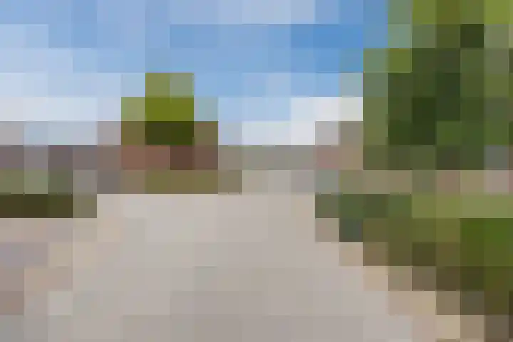 Dorestede 42 Zegge thumbnail 72