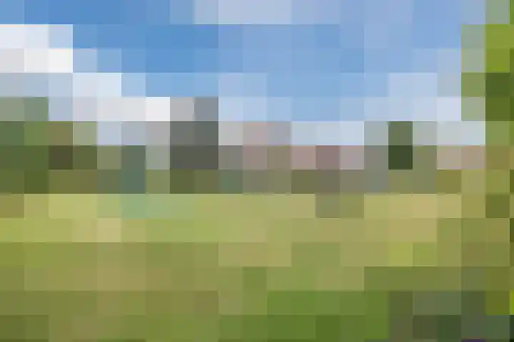 Dorestede 42 Zegge thumbnail 74