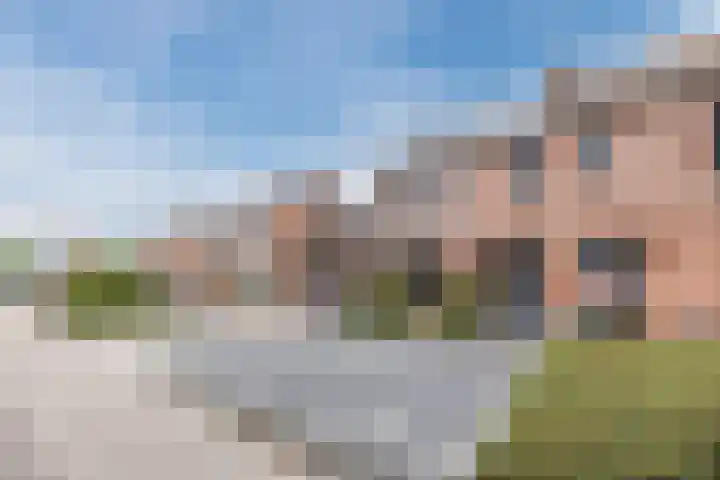 Dorestede 42 Zegge thumbnail 8