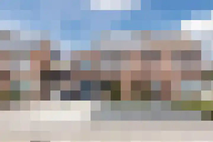 Dorestede 42 Zegge thumbnail 80