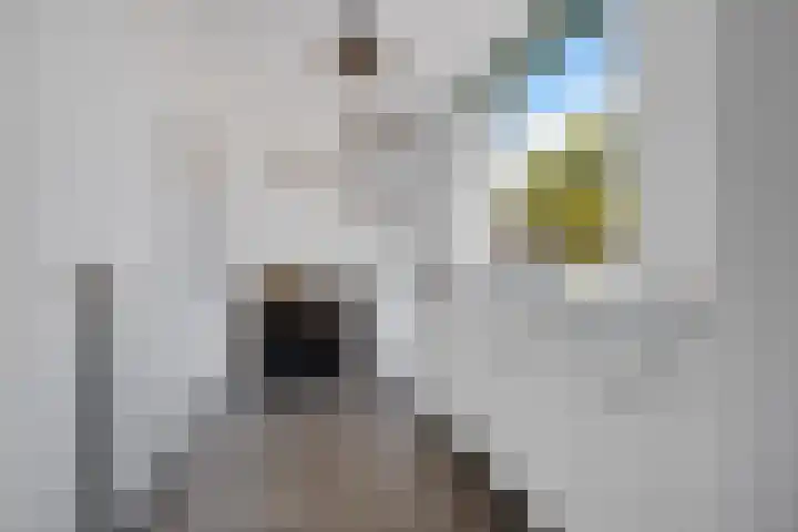 Dorigweg 32 Sellingen thumbnail 10