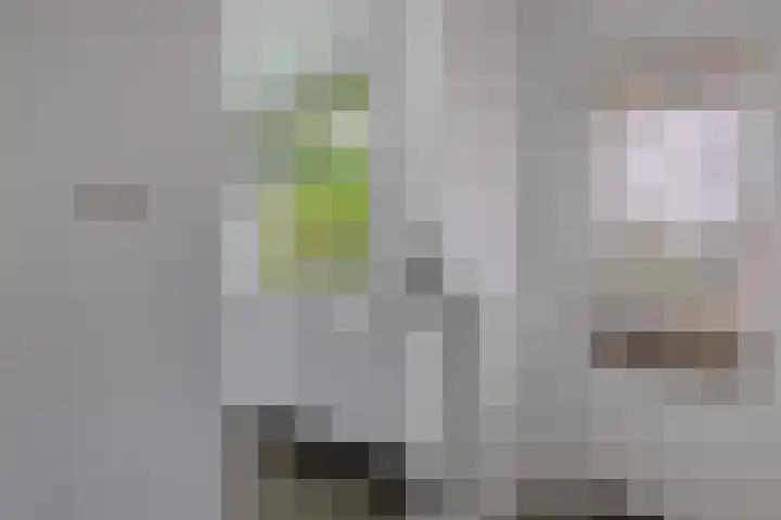 Dorigweg 32 Sellingen thumbnail 12
