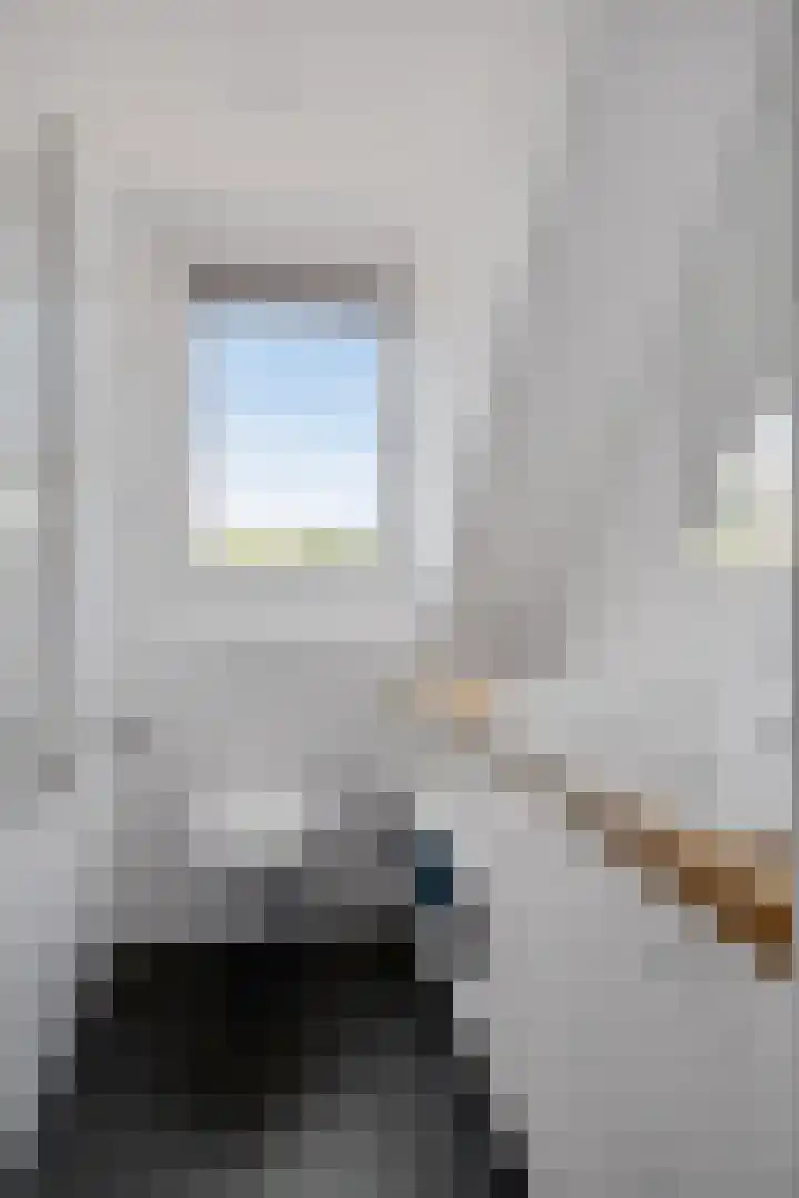 Dorigweg 32 Sellingen thumbnail 19