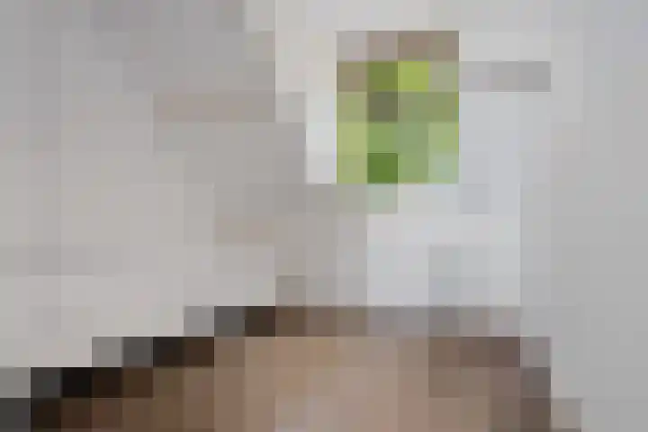 Dorigweg 32 Sellingen thumbnail 24