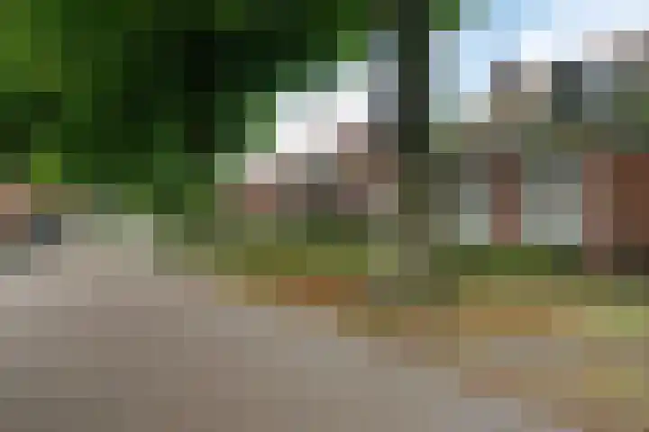 Dorigweg 32 Sellingen thumbnail 26