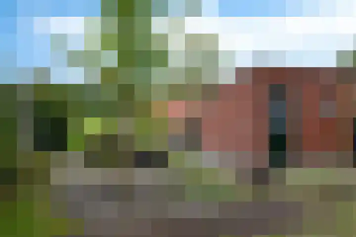 Dorigweg 32 Sellingen thumbnail 29