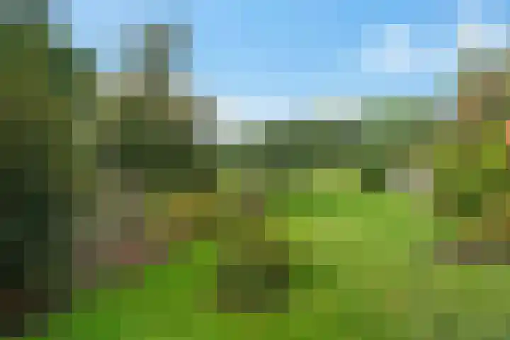 Dorigweg 32 Sellingen thumbnail 30