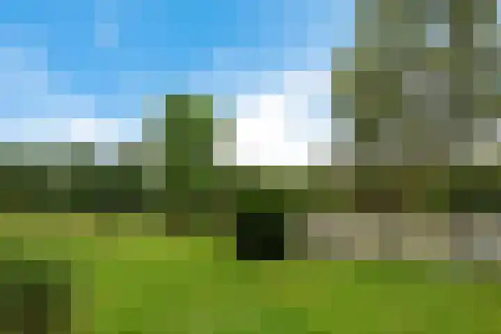 Dorigweg 32 Sellingen thumbnail 31