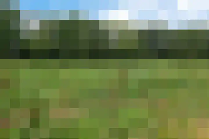 Dorigweg 32 Sellingen thumbnail 33
