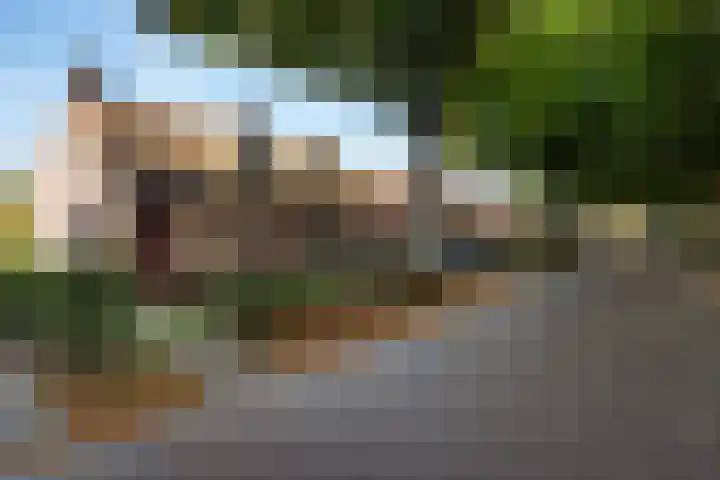 Dorigweg 32 Sellingen thumbnail 4