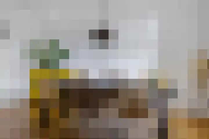 Dorigweg 32 Sellingen thumbnail 7