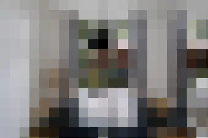 Dorigweg 32 Sellingen thumbnail 8