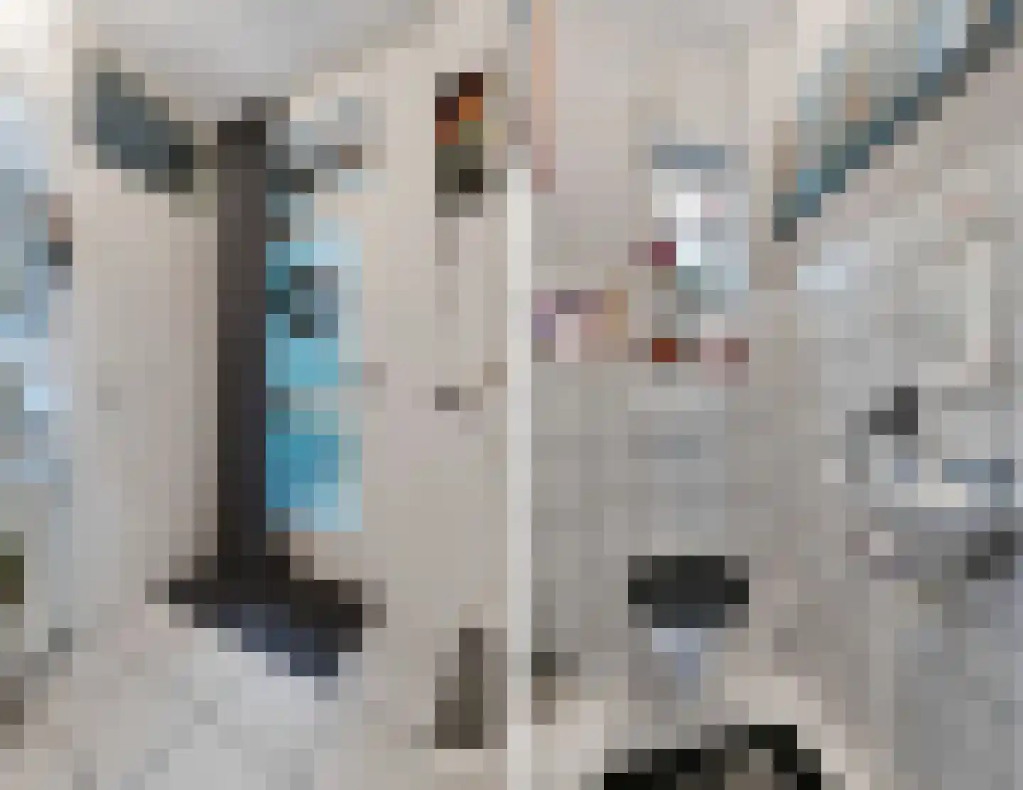 Dorigweg 44 Sellingen thumbnail 12