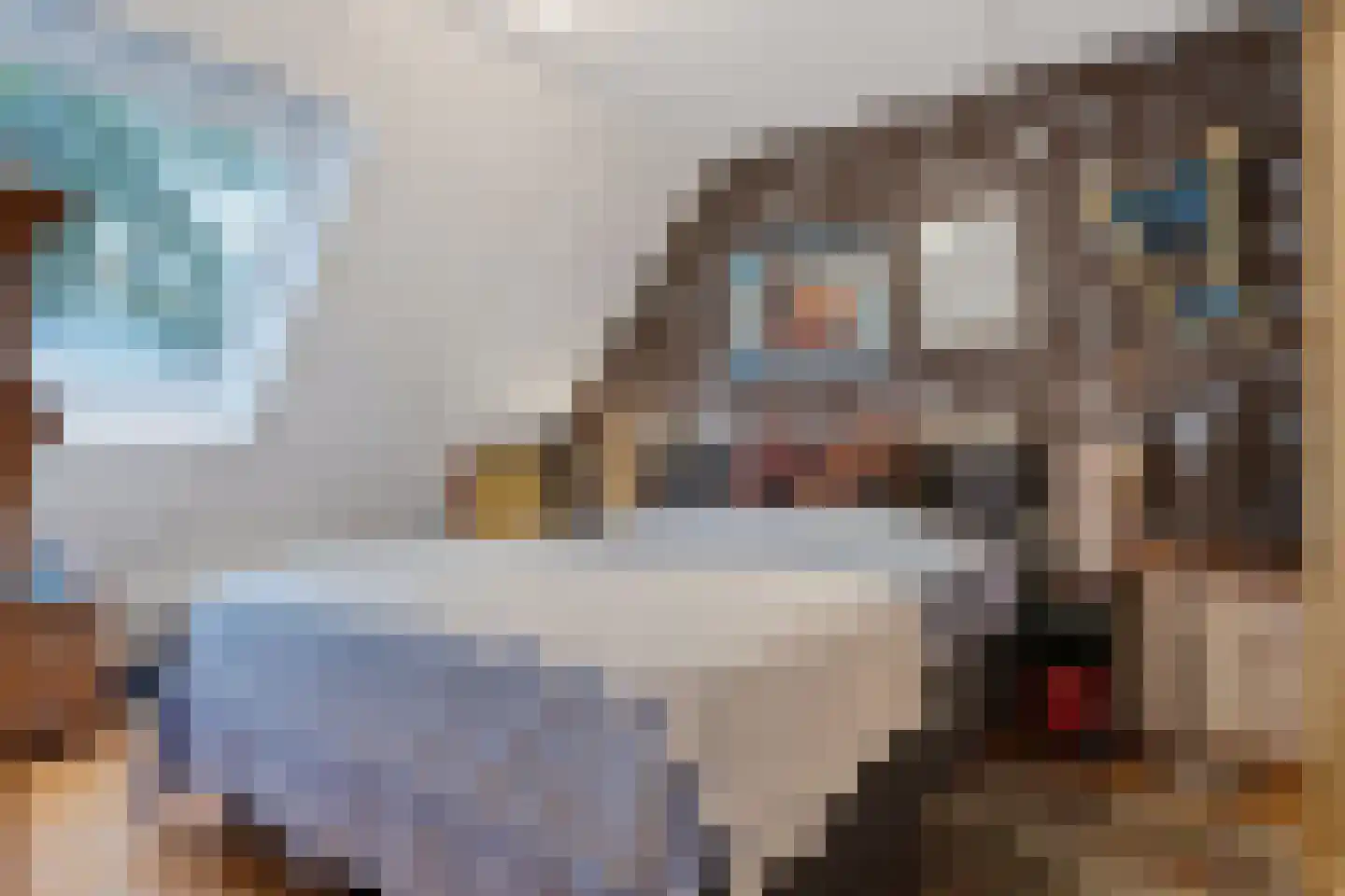 Dorigweg 44 Sellingen thumbnail 13