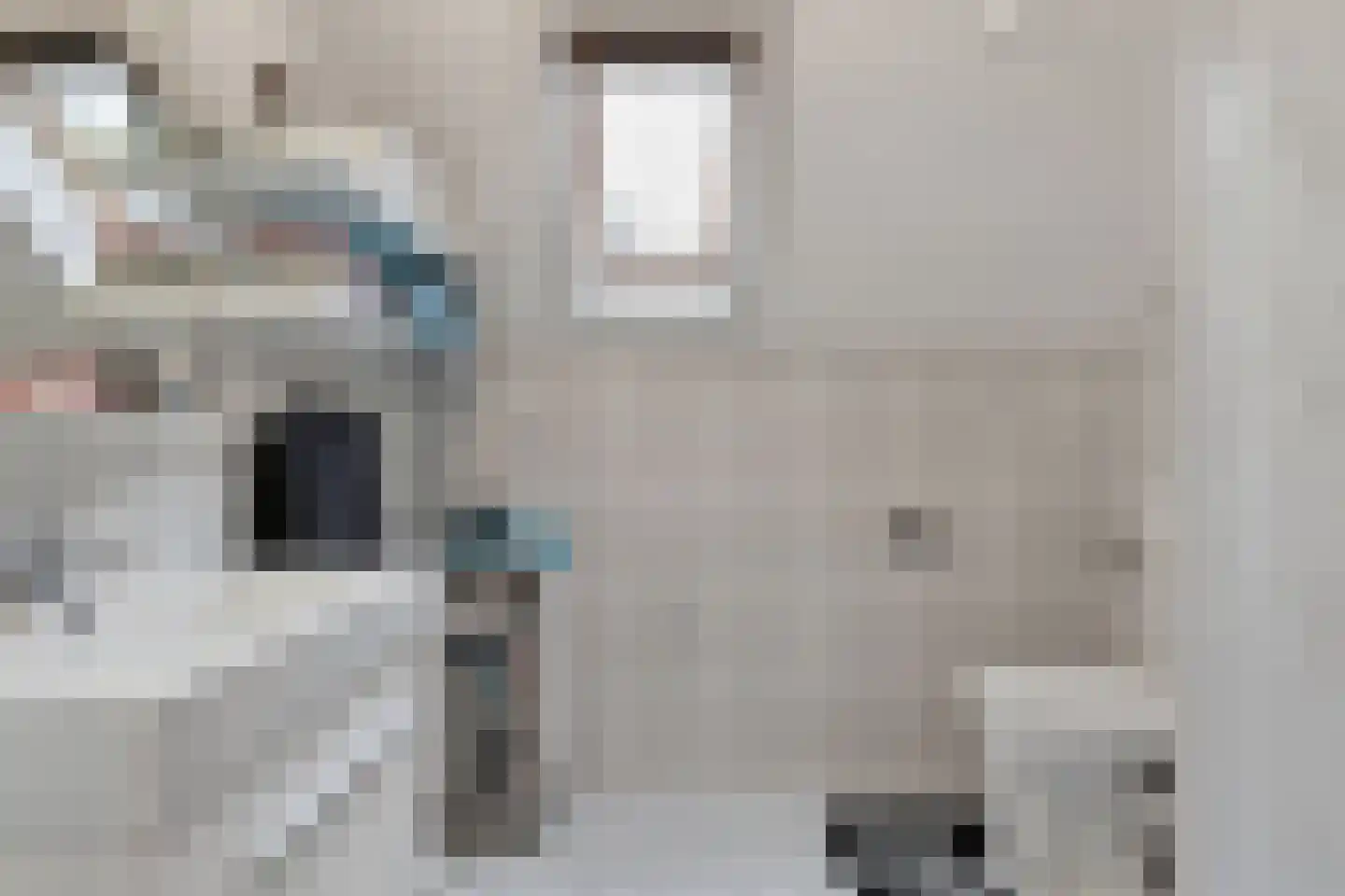 Dorigweg 44 Sellingen thumbnail 16