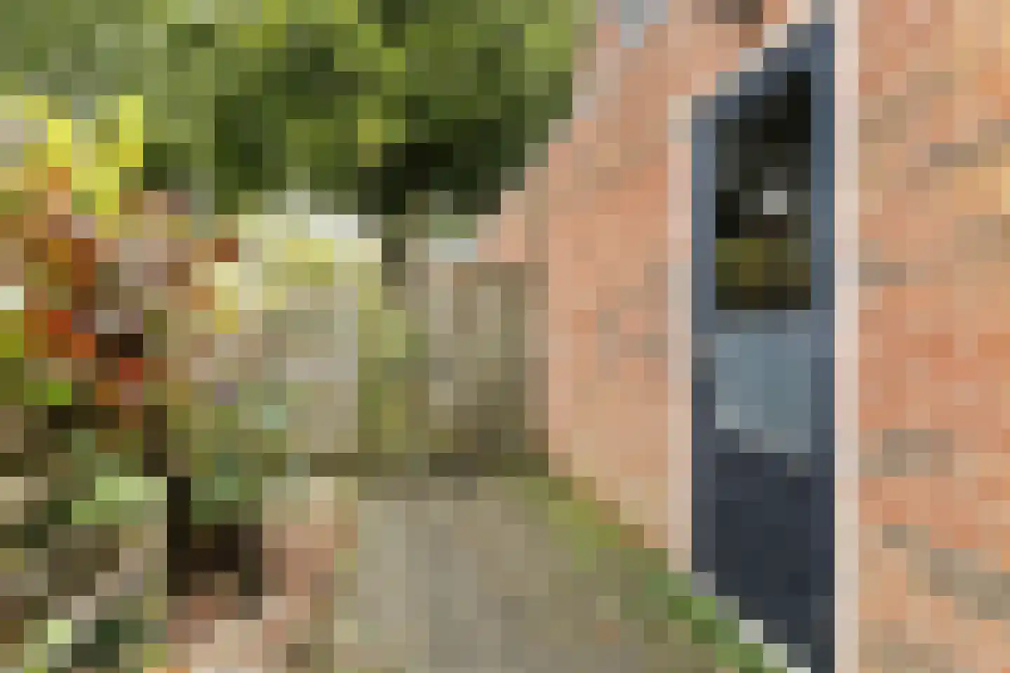 Dorigweg 44 Sellingen thumbnail 20