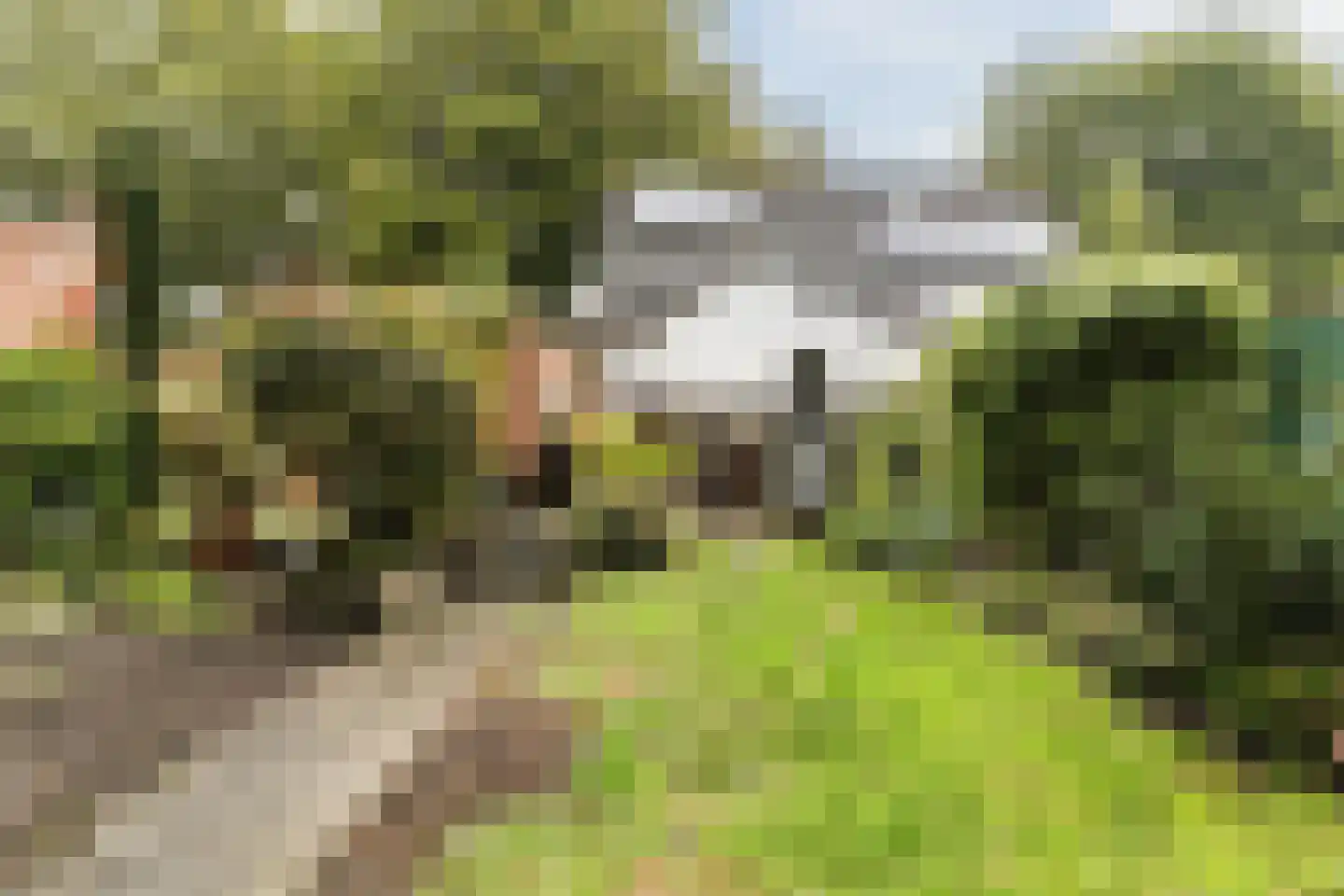 Dorigweg 44 Sellingen thumbnail 21