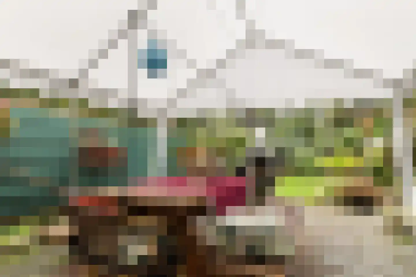 Dorigweg 44 Sellingen thumbnail 22