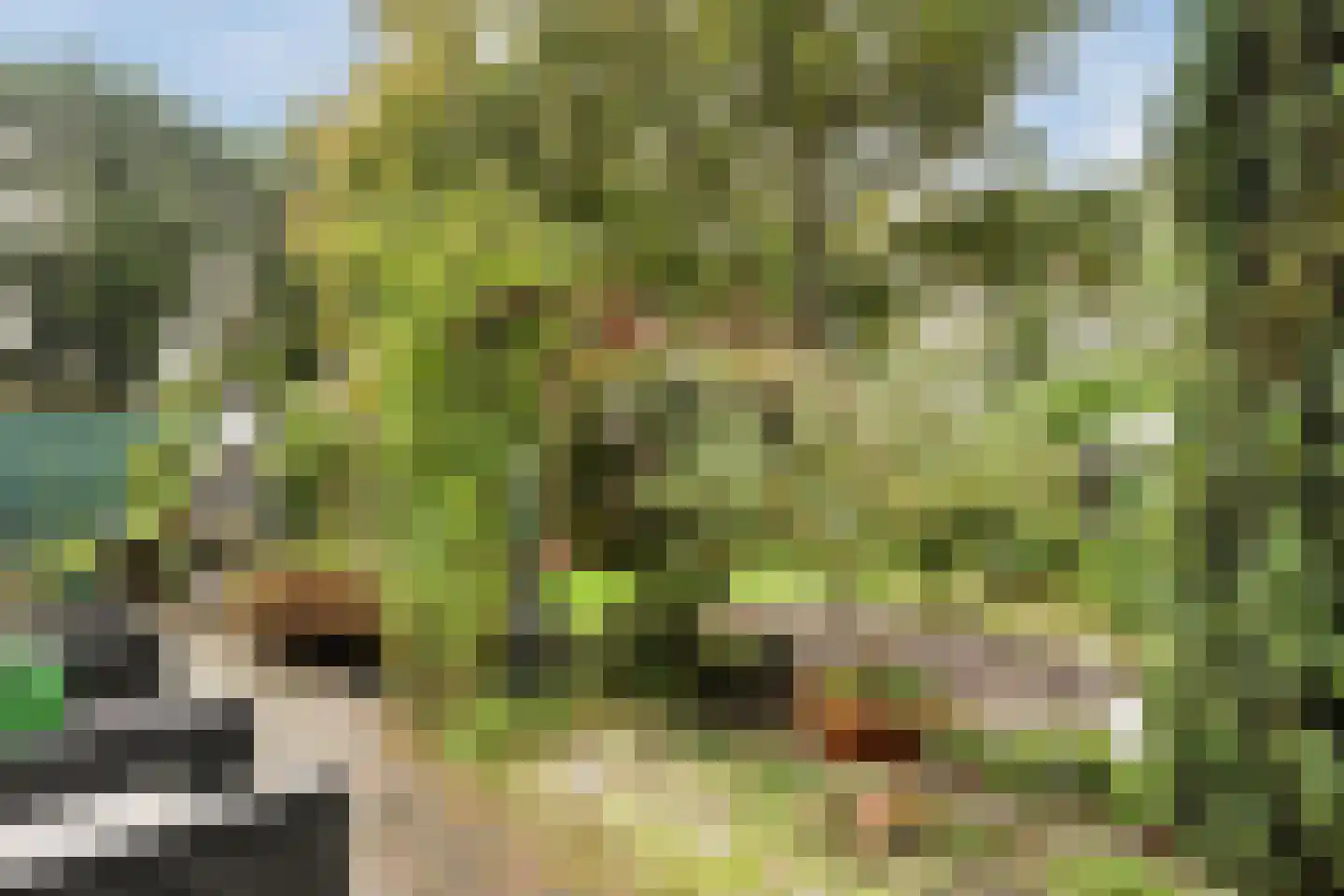 Dorigweg 44 Sellingen thumbnail 23