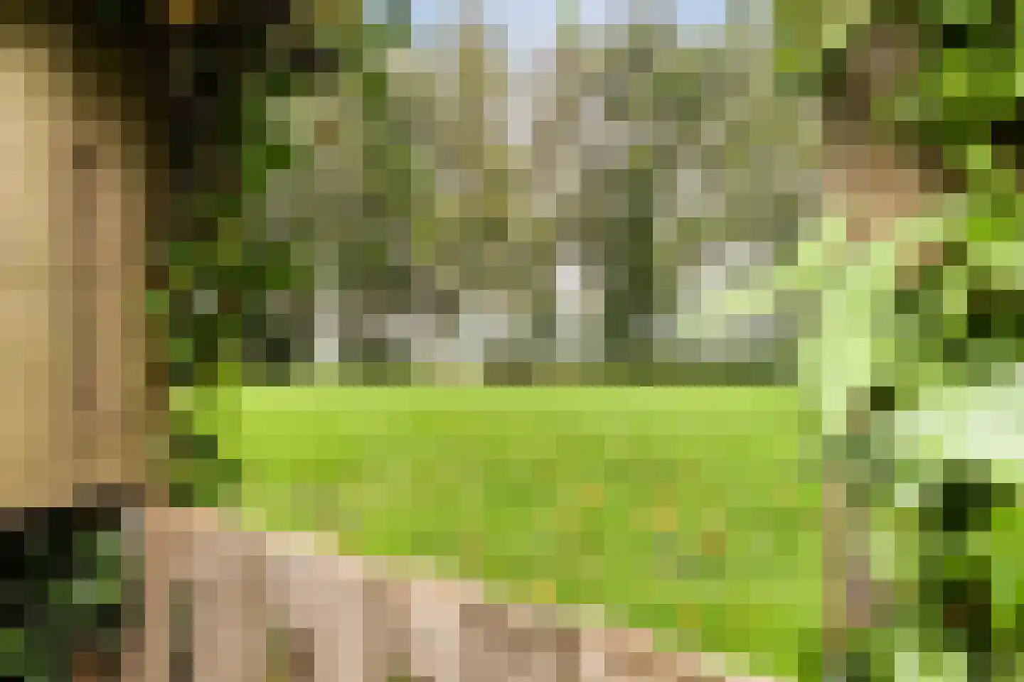 Dorigweg 44 Sellingen thumbnail 24