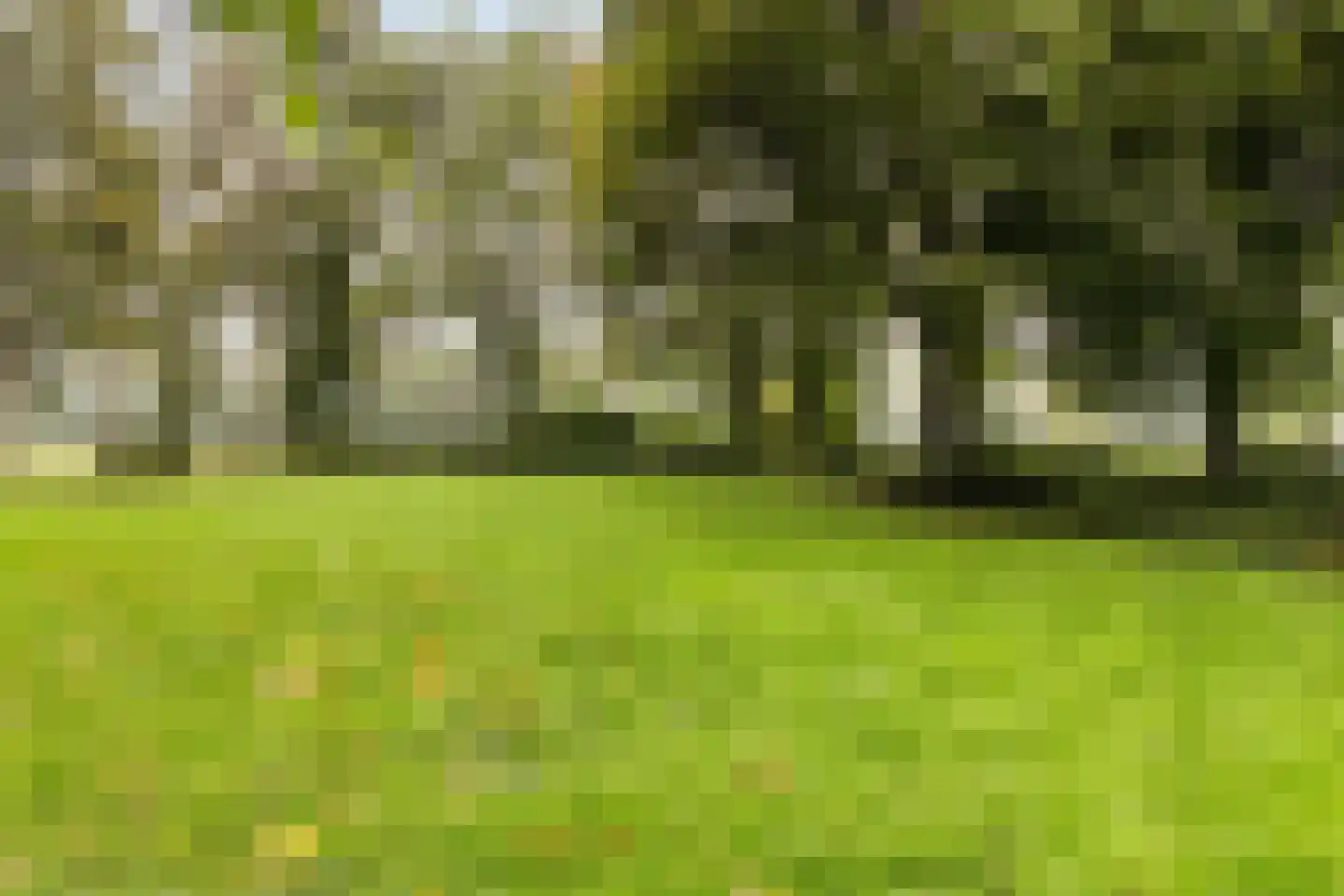 Dorigweg 44 Sellingen thumbnail 25