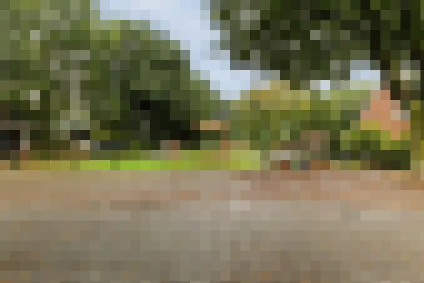 Dorigweg 44 Sellingen thumbnail 26