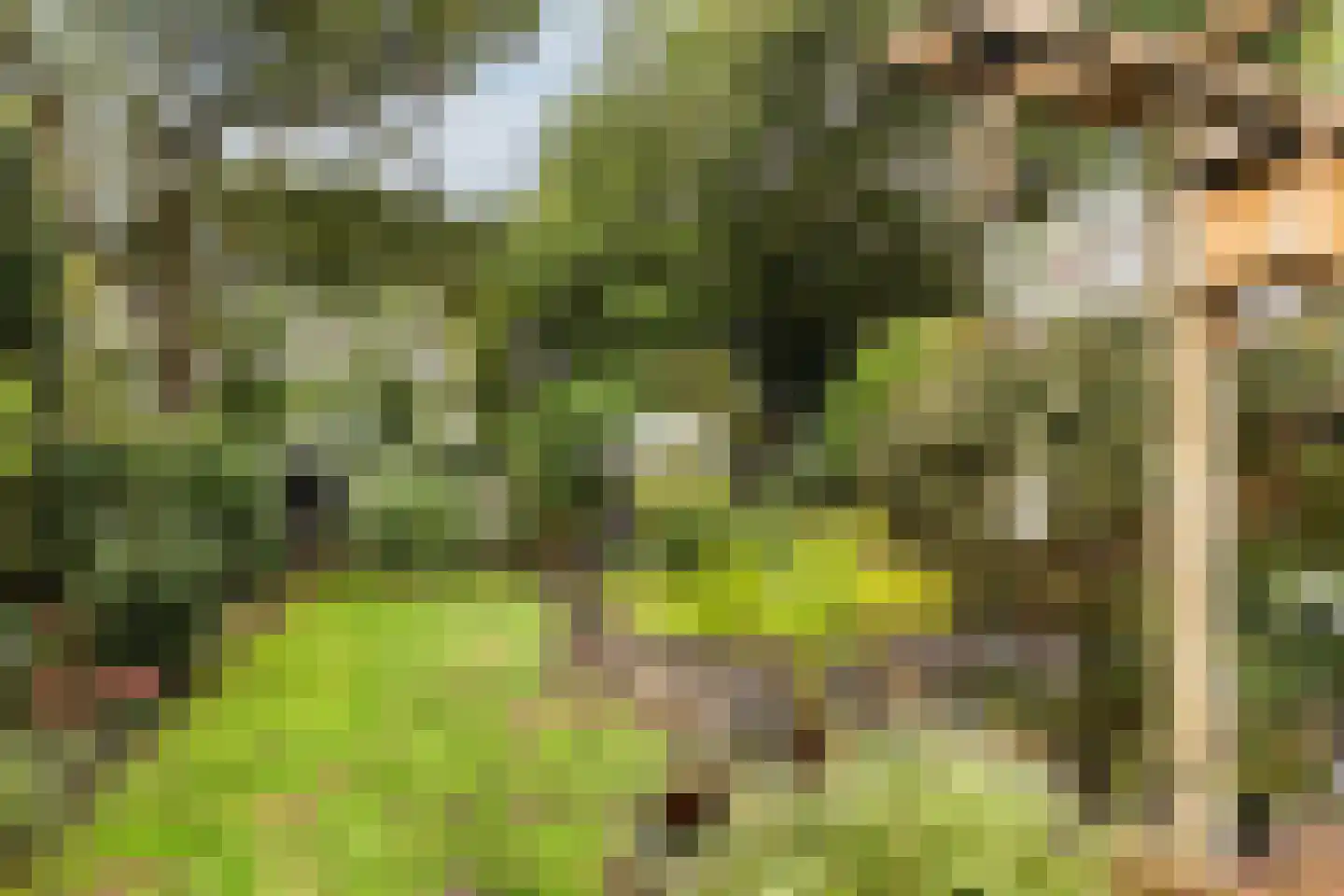 Dorigweg 44 Sellingen thumbnail 4