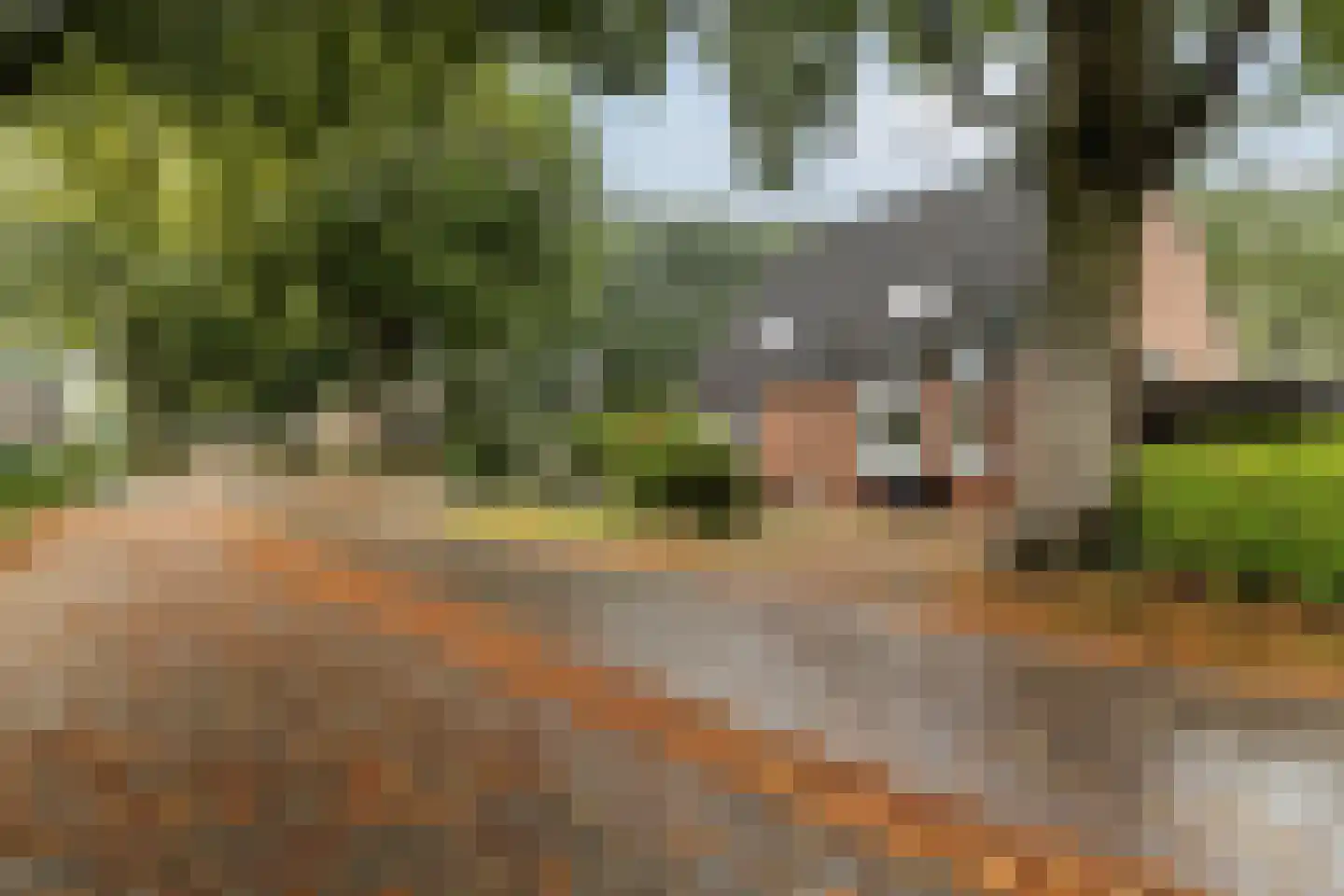 Dorigweg 44 Sellingen thumbnail 5