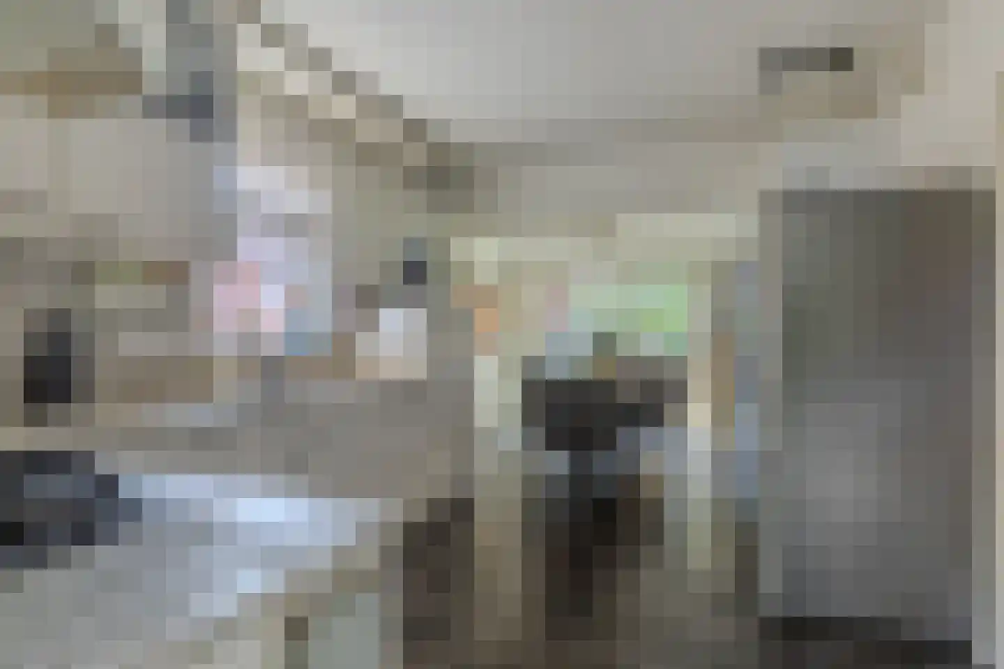 Dorigweg 52 Sellingen thumbnail 17