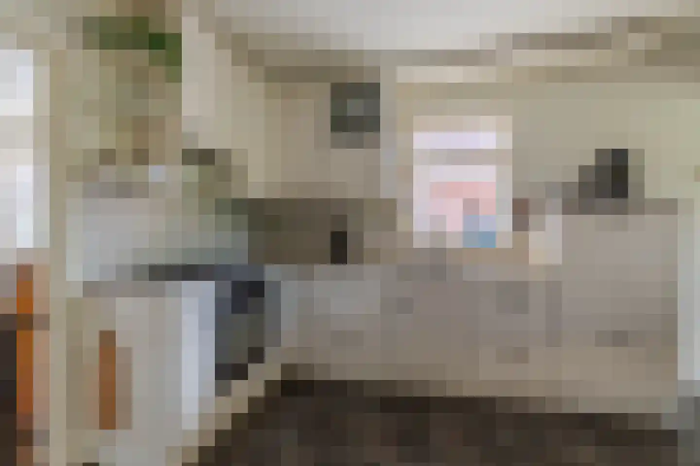 Dorigweg 52 Sellingen thumbnail 18