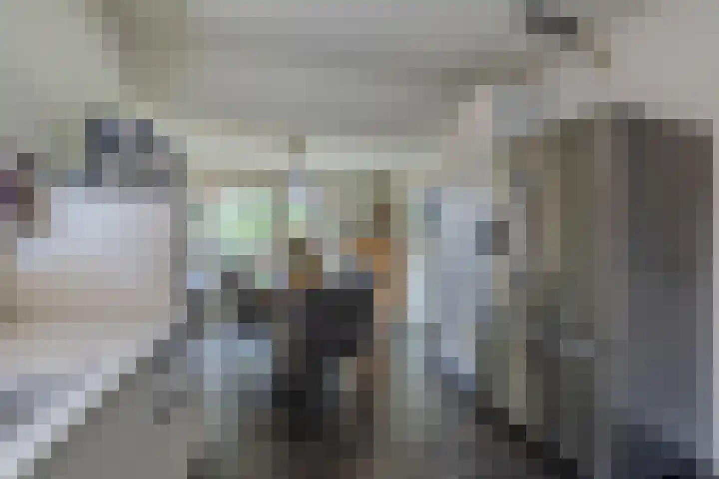 Dorigweg 52 Sellingen thumbnail 19