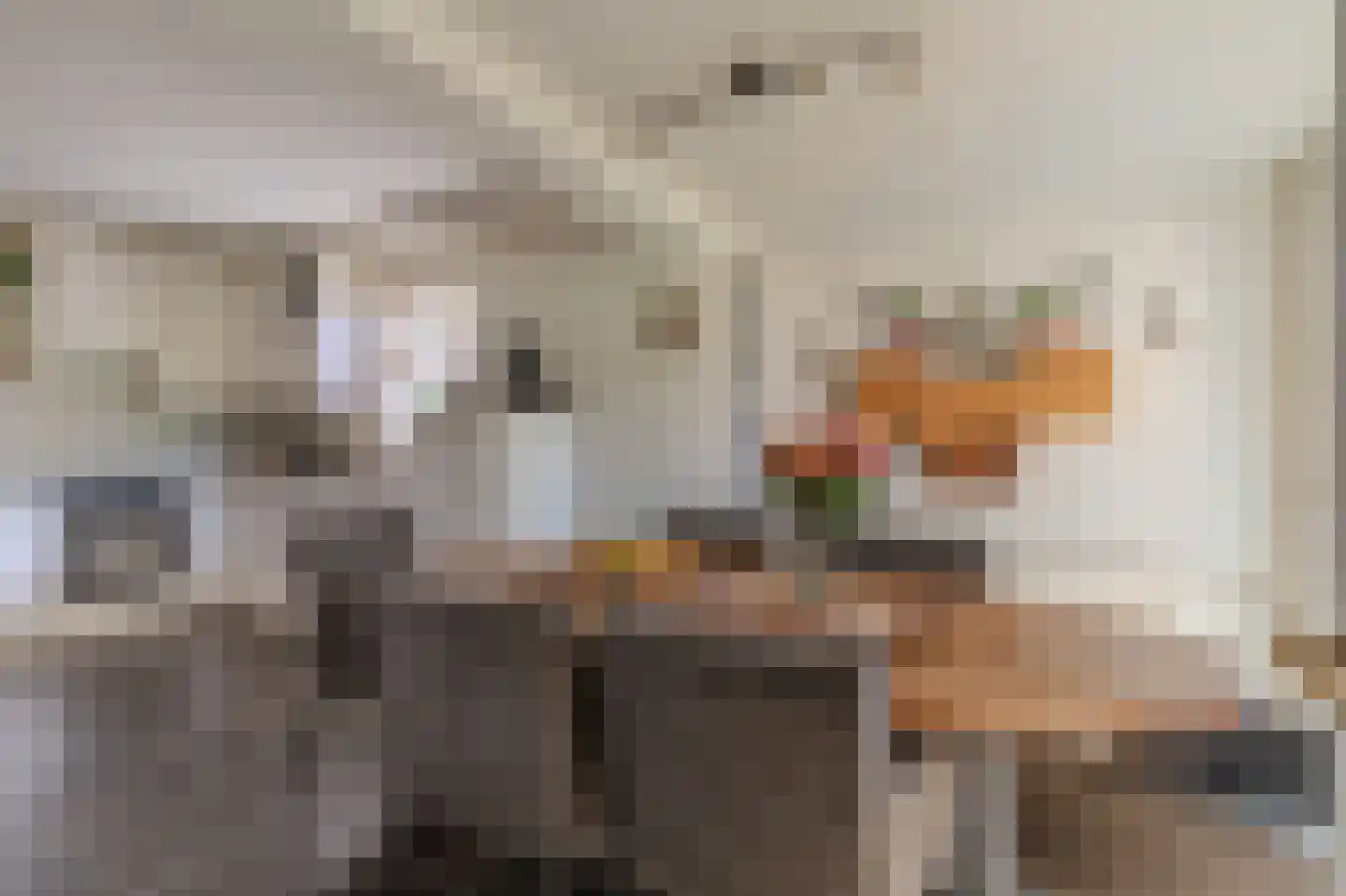 Dorigweg 52 Sellingen thumbnail 22
