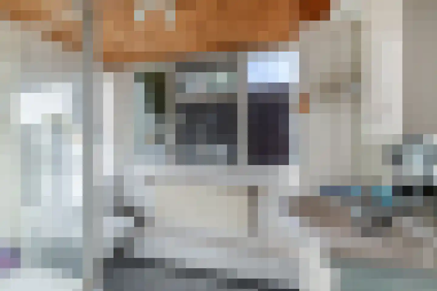 Dorigweg 52 Sellingen thumbnail 30