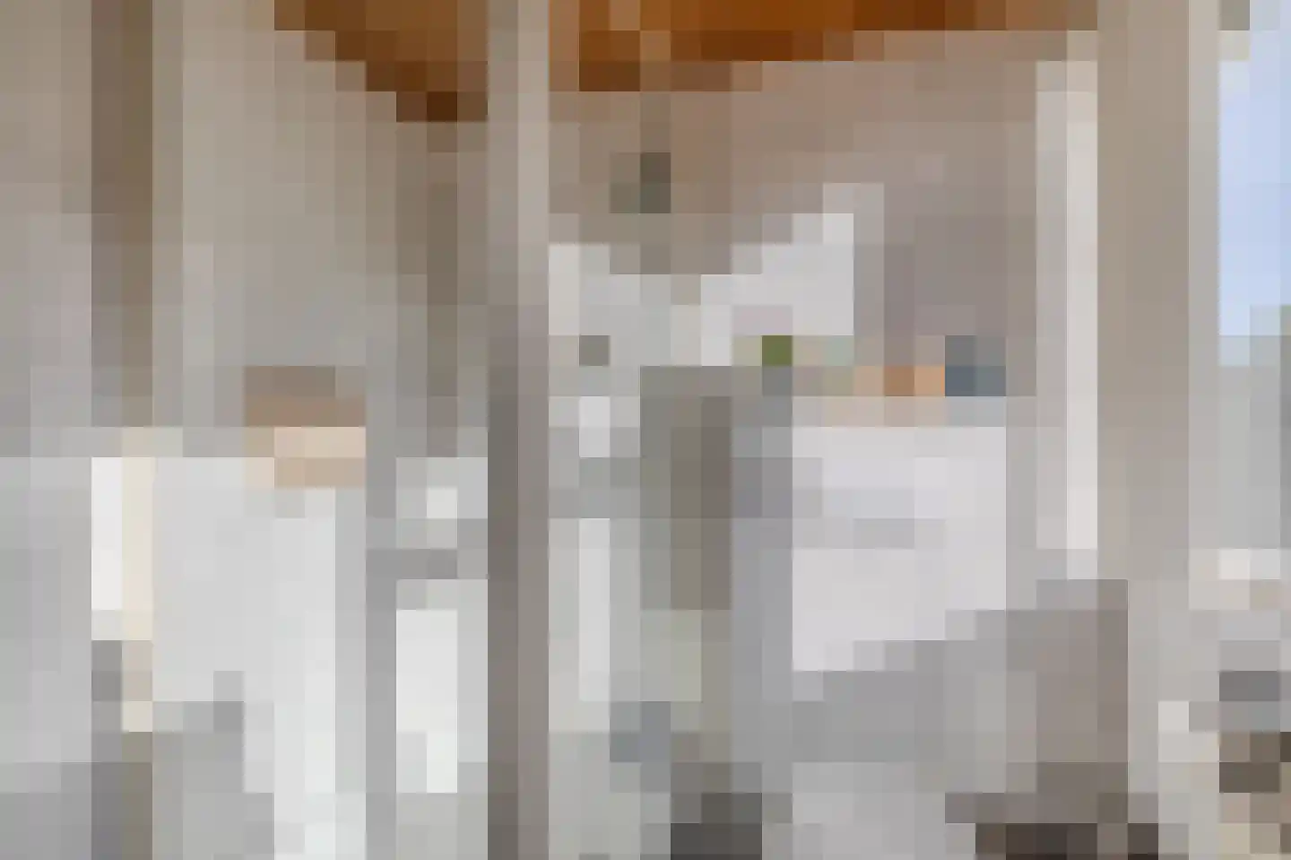 Dorigweg 52 Sellingen thumbnail 31