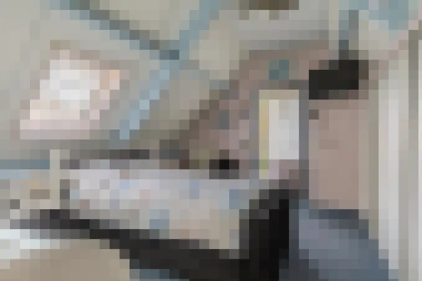Dorigweg 52 Sellingen thumbnail 33